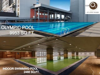 Majestic - Olympic pool