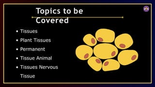 Tissues
Plant Tissues
Permanent
Tissue Animal
Tissues Nervous
Tissue
Topics to be
Covered
 