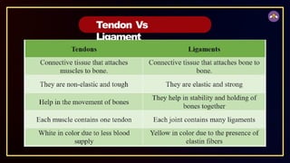 Tendon Vs
Ligament
 