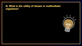 Q. What is the utility of tissues in multicellular
organisms?
 