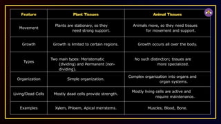 Feature Plant Tissues Animal Tissues
Movement
Plants are stationary, so they
need strong support.
Animals move, so they need tissues
for movement and support.
Growth Growth is limited to certain regions. Growth occurs all over the body.
Types
Two main types: Meristematic
(dividing) and Permanent (non-
dividing).
No such distinction; tissues are
more specialized.
Organization Simple organization.
Complex organization into organs and
organ systems.
Living/Dead Cells Mostly dead cells provide strength.
Mostly living cells are active and
require maintenance.
Examples Xylem, Phloem, Apical meristems. Muscles, Blood, Bone.
 