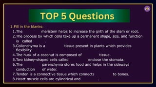 1.Fill in the blanks:
1.The meristem helps to increase the girth of the stem or root.
2.The process by which cells take up a permanent shape, size, and function
is called .
3.Collenchyma is a tissue present in plants which provides
flexibility.
4.The husk of a coconut is composed of tissue.
5.Two kidney-shaped cells called enclose the stomata.
6.The parenchyma stores food and helps in the sideways
conduction of water.
7.Tendon is a connective tissue which connects to bones.
8.Heart muscle cells are cylindrical and .
 