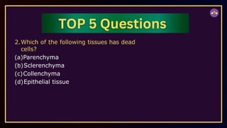 2.Which of the following tissues has dead
cells?
(a)Parenchyma
(b)Sclerenchyma
(c)Collenchyma
(d)Epithelial tissue
 