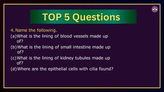 4.Name the following.
(a)What is the lining of blood vessels made up
of?
(b)What is the lining of small intestine made up
of?
(c)What is the lining of kidney tubules made up
of?
(d)Where are the epithelial cells with cilia found?
 