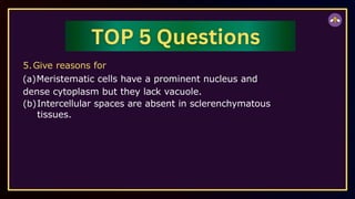 5.Give reasons for
(a)Meristematic cells have a prominent nucleus and
dense cytoplasm but they lack vacuole.
(b)Intercellular spaces are absent in sclerenchymatous
tissues.
 
