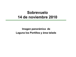 Sobrevuelo
 14 de noviembre 2010

     Imagen panorámica de
Laguna los Portillos y área talada
 