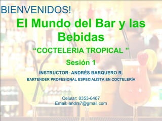 BIENVENIDOS!
  El Mundo del Bar y las
        Bebidas
      “COCTELERIA TROPICAL ”
                     Sesión 1
         INSTRUCTOR: ANDRÉS BARQUERO R.
    BARTENDER PROFESIONAL ESPECIALISTA EN COCTELERÍA




                  Celular: 8353-6467
                Email: andrs7@gmail.com
 