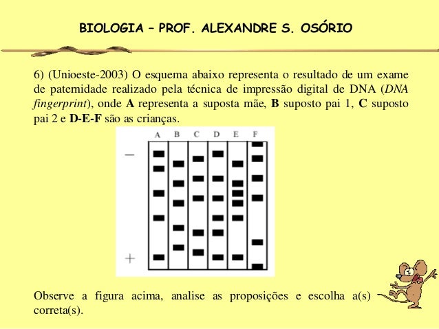 Custo exame dna