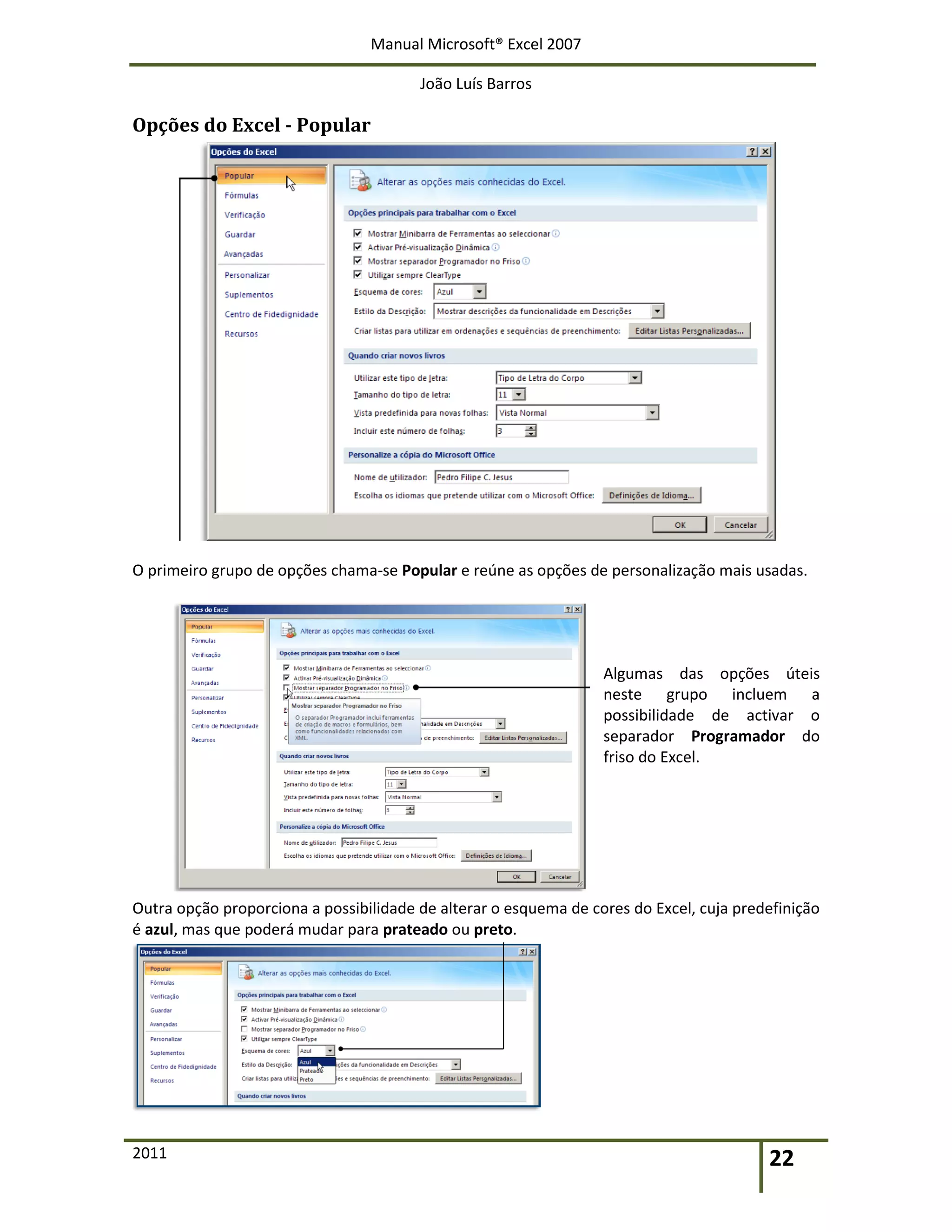 Manual Microsoft® Excel 2007
João Luís Barros
2011 22
Opções do Excel - Popular
O primeiro grupo de opções chama-se Popular e reúne as opções de personalização mais usadas.
Algumas das opções úteis
neste grupo incluem a
possibilidade de activar o
separador Programador do
friso do Excel.
Outra opção proporciona a possibilidade de alterar o esquema de cores do Excel, cuja predefinição
é azul, mas que poderá mudar para prateado ou preto.
 