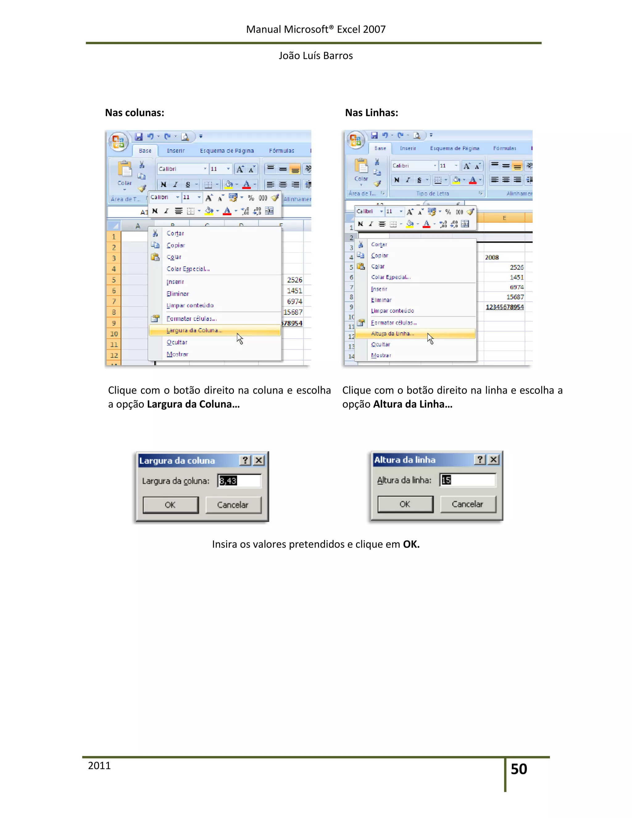 Manual Microsoft® Excel 2007
João Luís Barros
2011 50
Nas colunas: Nas Linhas:
Clique com o botão direito na coluna e escolha
a opção Largura da Coluna…
Clique com o botão direito na linha e escolha a
opção Altura da Linha…
Insira os valores pretendidos e clique em OK.
 