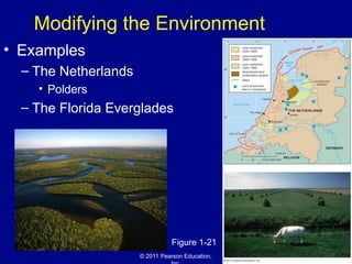 © 2011 Pearson Education,
Modifying the Environment
• Examples
– The Netherlands
• Polders
– The Florida Everglades
Figure 1-21
 