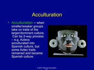 © 2011 Pearson Education,
Acculturation
• Acculturation – when
smaller/weaker groups
take on traits of the
larger/dominant culture.
Can be 2-way process
– e.g. Aztecs
acculturated into
Spanish culture, but
some Aztec traits
remained and became
Spanish culture.
 