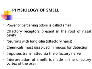 764912993-13-Physiology-of-Taste-and-Smell.ppt