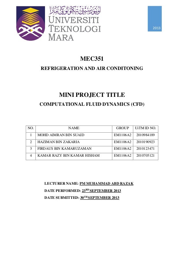 Report mini project print