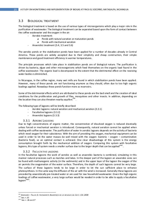 Minor thesis example image