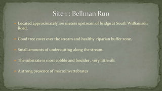  Located approximately 100 meters upstream of bridge at South Williamson
Road.
 Good tree cover over the stream and healthy riparian buffer zone.
 Small amounts of undercutting along the stream.
 The substrate is most cobble and boulder , very little silt
 A strong presence of macroinvertebrates
 