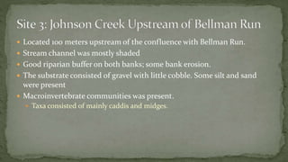  Located 100 meters upstream of the confluence with Bellman Run.
 Stream channel was mostly shaded
 Good riparian buffer on both banks; some bank erosion.
 The substrate consisted of gravel with little cobble. Some silt and sand
were present
 Macroinvertebrate communities was present.
 Taxa consisted of mainly caddis and midges.
 