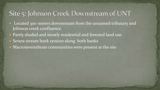  Located 300 meters downstream from the unnamed tributary and
Johnson creek confluence.
 Partly shaded and mostly residential and forested land use.
 Severe stream bank erosion along both banks
 Macroinvertebrate communities were present at the site
 