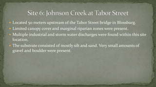  Located 50 meters upstream of the Tabor Street bridge in Blossburg.
 Limited canopy cover and marginal riparian zones were present.
 Multiple industrial and storm water discharges were found within this site
location.
 The substrate consisted of mostly silt and sand. Very small amounts of
gravel and boulder were present.
 