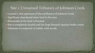  Located 1 mile upstream of the confluence of Johnson Creek.
 Significant abandoned mine land in the area.
 Remainder of the land is forested.
 Site is completely shaded and has large forested riparian buffer zones.
 Substrate is composed of cobble, with no silt.
 