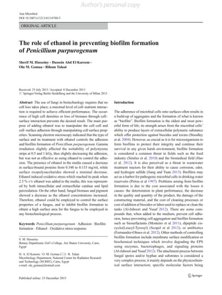 ORIGINAL ARTICLE
The role of ethanol in preventing biofilm formation
of Penicillium purpurogenum
Sherif M. Husseiny & Hussein Abd El Kareem &
Ola M. Gomaa & Riham Talaat
Received: 25 July 2013 /Accepted: 8 December 2013
# Springer-Verlag Berlin Heidelberg and the University of Milan 2013
Abstract The use of fungi in biotechnology requires that no
cell loss takes place; a maximal level of cell–nutrient interac-
tion is required to achieve efficient performance. The occur-
rence of high cell densities or loss of biomass through cell–
surface interaction prevents the desired result. The main pur-
pose of adding ethanol was to manipulate the cell–cell and
cell–surface adhesion through manipulating cell surface prop-
erties. Scanning electron microscopy indicated that the type of
surface and its treatment with ethanol controls the adhesion
and biofilm formation of Penicillium purpurogenum. Gamma
irradiation slightly affected the wettability of polystyrene
strips at 0.5 and 1 kGy, thus slightly decreasing the adhesion,
but was not as effective as using ethanol to control the adhe-
sion. The presence of ethanol in the media caused a decrease
in surface-bound proteins from 0.348 to 0.133 mg/ml, while
surface exopolysaccharides showed a minimal decrease.
Ethanol induced oxidative stress which reached its peak when
2.5 % v/v ethanol was added to the media; this was represent-
ed by both intracellular and extracellular catalase and lipid
peroxidation. On the other hand, fungal biomass and pigment
showed a decrease as the ethanol concentrations increased.
Therefore, ethanol could be employed to control the surface
properties of a fungus, and to inhibit biofilm formation to
obtain a high surface area for the fungus to be employed in
any biotechnological process.
Keywords Penicillium purpurogenum . Adhesion . Biofilm
formation . Ethanol . Oxidative stress response
Introduction
The adherence of microbial cells onto surfaces often results in
a build-up of aggregates and the formation of what is known
as “biofilm”. Biofilm formation is the oldest and most pow-
erful form of life; its strength arises from the microbial cells’
ability to produce layers of extracellular polymeric substance
which offer protection against biocides and toxins (Stoodley
et al. 2004). However, as crucial as it is for microorganisms to
form biofilms to protect their integrity and continue their
survival in any given harsh environment, biofilm formation
is considered a common threat in fields such as the food
industry (Simões et al. 2010) and the biomedical field (Hao
et al. 2012). It is also perceived as a threat in wastewater
treatment reactors for their ability to cause corrosion, odor,
and hydrogen sulfide (Jiang and Yuan 2013). Biofilms may
act as a harbor for pathogenic microbial cells in drinking water
reservoirs (Piriou et al 1997). Problems arising from biofilm
formation is due to the cost associated with the losses it
causes: the deterioration in plant performance, the decrease
in the quality and quantity of the product, the damage of the
constructing material, and the cost of cleaning processes or
cost of addition al biocides or labor used to replace or clean the
tanks (Al-Juboori and Yusaf 2012). There are some com-
pounds that, when added to the medium, prevent cell adhe-
sion, hence preventing cell aggregation and biofilm formation
such as biosurfactants (Monteiro et al 2011), dipeptide cis-
cyclo(Leucyl-Tyrosyl) (Scopel et al 2013), or antibiotics
(Ferrnandez-Olmos et al. 2012). Other methods of controlling
biofilm formation include membrane surface modification or
biochemical techniques which involve degrading the EPS
using enzymes, bacteriophages, and signaling proteins
(Al-Juboori and Yusaf 2012). The attachment process between
fungal spores and/or hyphae and substrates is considered a
very complex process; it mainly depends on the physicochem-
ical surface interaction; specific molecular factors being
S. M. Husseiny
Botany Department, Girl’s College, Ain Shams University, Cairo,
Egypt
H. A. El Kareem :O. M. Gomaa (*) :R. Talaat
Microbiology Department, National Center for Radiation Research
and Technology (NCRRT), Cairo, Egypt
e-mail: ola_gomaa@hotmail.com
Ann Microbiol
DOI 10.1007/s13213-013-0788-5
Author's personal copy
 