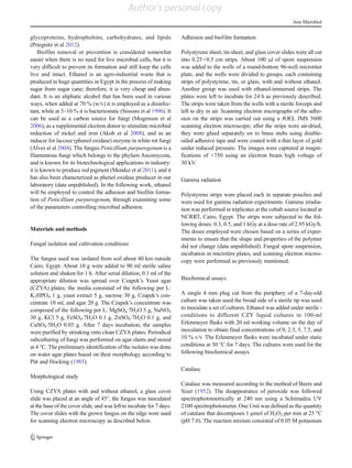 glycoproteins, hydrophobins, carbohydrates, and lipids
(Priegnitz et al 2012).
Biofilm removal or prevention is considered somewhat
easier when there is no need for live microbial cells, but it is
very difficult to prevent its formation and still keep the cells
live and intact. Ethanol is an agro-industrial waste that is
produced in huge quantities in Egypt in the process of making
sugar from sugar cane; therefore, it is very cheap and abun-
dant. It is an aliphatic alcohol that has been used in various
ways, when added at 70 % (w/v) it is employed as a disinfec-
tant, while at 5–10 % it is bacteriostatic (Sissons et al 1996). It
can be used as a carbon source for fungi (Mogensen et al
2006), as a supplemental electron donor to stimulate microbial
reduction of nickel and iron (Akob et al 2008), and as an
inducer for laccase (phenol oxidase) enzyme in white rot fungi
(Alves et al 2004). The fungus Penicillium purpurogenumis a
filamentous fungi which belongs to the phylum Ascomycota,
and is known for its biotechnological applications in industry:
it is known to produce red pigment (Mendez et al 2011), and it
has also been characterized as phenol oxidase producer in our
laboratory (data unpublished). In the following work, ethanol
will be employed to control the adhesion and biofilm forma-
tion of Penicillium purpurogenum, through examining some
of the parameters controlling microbial adhesion.
Materials and methods
Fungal isolation and cultivation conditions
The fungus used was isolated from soil about 40 km outside
Cairo, Egypt. About 10 g were added to 90 ml sterile saline
solution and shaken for 1 h. After serial dilution, 0.1 ml of the
appropriate dilution was spread over Czapek’s Yeast agar
(CZYA) plates; the media consisted of the following per L:
K2HPO4 1 g, yeast extract 5 g, sucrose 30 g, Czapek’s con-
centrate 10 ml, and agar 20 g. The Czapek’s concentrate was
composed of the following per L: MgSO4·7H2O 5 g, NaNO3
30 g, KCl 5 g, FeSO4·7H2O 0.1 g, ZnSO4·7H2O 0.1 g, and
CuSO4·5H2O 0.05 g. After 7 days incubation, the samples
were purified by streaking onto clean CZYA plates. Periodical
subculturing of fungi was performed on agar slants and stored
at 4 °C. The preliminary identification of the isolates was done
on water agar plates based on their morphology according to
Pitt and Hocking (1985).
Morphological study
Using CZYA plates with and without ethanol, a glass cover
slide was placed at an angle of 45°, the fungus was inoculated
at the base of the cover slide, and was left to incubate for 7 days.
The cover slides with the grown fungus on the edge were used
for scanning electron microscopy as described below.
Adhesion and biofilm formation
Polystyrene sheet, tin sheet, and glass cover slides were all cut
into 0.25×0.5 cm strips. About 100 μl of spore suspension
was added to the wells of a round-bottom 96-well microtiter
plate, and the wells were divided to groups, each containing
strips of polystyrene, tin, or glass, with and without ethanol.
Another group was used with ethanol-immersed strips. The
plates were left to incubate for 24 h as previously described.
The strips were taken from the wells with a sterile forceps and
left to dry in air. Scanning electron micrographs of the adhe-
sion on the strips was carried out using a JOEL JMS 5600
scanning electron microscope; after the strips were air-dried,
they were glued separately on to brass stubs using double-
sided adhesive tape and were coated with a thin layer of gold
under reduced pressure. The images were captured at magni-
fications of ×750 using an electron beam high voltage of
30 kV.
Gamma radiation
Polystyrene strips were placed each in separate pouches and
were used for gamma radiation experiments. Gamma irradia-
tion was performed in triplicates at the cobalt source located at
NCRRT, Cairo, Egypt. The strips were subjected to the fol-
lowing doses: 0.3, 0.5, and 1 kGy at a dose rate of 2.95 kGy/h.
The doses employed were chosen based on a series of exper-
iments to ensure that the shape and properties of the polymer
did not change (data unpublished). Fungal spore suspension,
incubation in microtitre plates, and scanning electron micros-
copy were performed as previously mentioned.
Biochemical assays
A single 4 mm plug cut from the periphery of a 7-day-old
culture was taken used the broad side of a sterile tip was used
to inoculate a set of cultures. Ethanol was added under sterile -
conditions to different CZY liquid cultures in 100-ml
Erlenmeyer flasks with 20 ml working volume on the day of
inoculation to obtain final concentrations of 0, 2.3, 5, 7.5, and
10 % v/v. The Erlenmeyer flasks were incubated under static
conditions at 30 °C for 7 days. The cultures were used for the
following biochemical assays.
Catalase
Catalase was measured according to the method of Beers and
Sizer (1952). The disappearance of peroxide was followed
spectrophotometrically at 240 nm using a Schimadzu UV
2100 spectrophotometer. One Unit was defined as the quantity
of catalase that decomposes 1 µmol of H2O2 per min at 25 °C
(pH 7.0). The reaction mixture consisted of 0.05 M potassium
Ann Microbiol
Author's personal copy
 