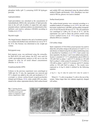 phosphate buffer (pH 7) containing 0.059 M hydrogen
peroxide.
Lipid peroxidation
Lipid peroxidation was calculated as the concentration of
malondialehyde (MDA) (the end product of lipid peroxida-
tion) in the cell wall of pellets of copper-free and copper-
amended cultures. Lipid peroxidation was determined as thio-
barbituric acid reactive substance (TBARS) according to
Yoshika et al. (1979).
Mycelial weight
The fungal biomass obtained at the end of incubation period
was washed with distilled water and dried in an oven at 70 °C
for 24 h. Dry biomass was determined as dry weight per
volume.
Red pigment assay
Red pigment assay was performed using the extracellu-
lar fluid (ECF) for each culture; the ECF were used for
visible spectrophotometric analysis at 492 nm to test the
changes in color for all tested ethanol concentrations
(Mendez et al 2011).
Exopolysaccharides (EPS)
Cultures in the previous experiment were centrifuged at
5,000 rpm for 15 min, the supernatant was removed and
95 % ethanol was added to the cells and incubated at 4 °C
overnight to release surface-bound exopolysaccharides
(Nehad and El-Shamy 2010), while soluble EPS was deter-
mined in the culture supernatant directly. Both surface-bound
and soluble EPS were determined using the phenol-sulfuric
method (Chaplin and Kennedy 1986), absorbance was mea-
sured at 490 nm, glucose was used as standard.
Surface-bound protein
The surface-bound proteins were extracted according to a
modified method of Castellanos et al. (1997), the cells were
harvested, washed twice with PBS, and the pellets resuspend-
ed in 10 ml 6 M urea for 90 min at 22 °C. The cell suspension
was centrifuged at 1,600 g for 10 min at 10 °C, and the
supernatant was used to detect the protein content using
Lowry’s method (Lowry et al. 1951) using bovine serum
albumin (BSA) as a standard.
Cell surface charge
Spore suspension of Penicillium purpurogenum was used to
detect the cell surface charge in the presence (2.5 and 5 % v/v)
and absence of ethanol using the two-phase partitioning assay
as described by Castellanos et al (1997). Each system was
done separately; the phases 1 and 2 were added consecutively.
System I consisted of 7.13 % polyethylene glycol (PEG) in
150 mM NaCl as phase 1 and 8.75 % dextran in 150 mM
NaCl as phase 2, while system II consisted of 7.13 % PEG in
150 mM as phase 1 and 8.35 % dextran and 0.4 % dextran
sulfate in 150 mM NaCl as phase 2. The results were
expressed as Δ log G which is defined by the following
equation:
Δ log G ¼ log G value for system II=G value for system Ið Þ
Where G = % cells in top phase/ % cells in the rest of the
system. Values larger than zero indicate negatively charged
cell surface.
Control Penicillium purpurogenum culture Ethanol amended Penicillium
purpurogenum culture
Fig. 1 Scanning electron
micrographs of ethanol amended
Penicillium purpurogenum
cultures as compared to control
cultures, magnification ×2000
Ann Microbiol
Author's personal copy
 