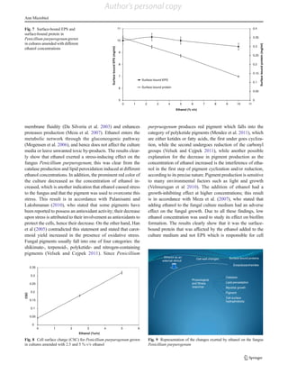membrane fluidity (Da Silveria et al. 2003) and enhances
proteases production (Meza et al. 2007). Ethanol enters the
metabolic network through the gluconeogenic pathway
(Mogensen et al. 2006), and hence does not affect the culture
media or leave unwanted toxic by-products. The results clear-
ly show that ethanol exerted a stress-inducing effect on the
fungus Penicillium purpurogenum; this was clear from the
catalase production and lipid peroxidation induced at different
ethanol concentrations. In addition, the prominent red color of
the culture decreased as the concentration of ethanol in-
creased, which is another indication that ethanol caused stress
to the fungus and that the pigment was used to overcome this
stress. This result is in accordance with Palanisami and
Lakshmanan (2010), who stated that some pigments have
been reported to possess an antioxidant activity; their decrease
upon stress is attributed to their involvement as antioxidants to
protect the cells, hence their decrease. On the other hand, Han
et al (2005) contradicted this statement and stated that carot-
enoid yield increased in the presence of oxidative stress.
Fungal pigments usually fall into one of four categories: the
shikimate-, terpenoid-, polyketide- and nitrogen-containing
pigments (Velsek and Cejpek 2011). Since Penicillium
purpruogenum produces red pigment which falls into the
category of polyketide pigments (Mendez et al. 2011), which
are either ketides or fatty acids, the first under goes cycliza-
tion, while the second undergoes reduction of the carbonyl
groups (Velsek and Cejpek 2011), while another possible
explanation for the decrease in pigment production as the
concentration of ethanol increased is the interference of etha-
nol in the first step of pigment cyclization and/or reduction,
according to its precise nature. Pigment production is sensitive
to many environmental factors such as light and growth
(Velmurugan et al 2010). The addition of ethanol had a
growth-inhibiting effect at higher concentrations; this result
is in accordance with Meza et al. (2007), who stated that
adding ethanol to the fungal culture medium had an adverse
effect on the fungal growth. Due to all these findings, low
ethanol concentration was used to study its effect on biofilm
formation. The results clearly show that it was the surface-
bound protein that was affected by the ethanol added to the
culture medium and not EPS which is responsible for cell
5
6
7
8
9
10
11
0 1 2 3 4 5 6 7 8 9 10 11
Ethanol (% v/v)
SurfaceboundEPS(mg/ml)
0
0.05
0.1
0.15
0.2
0.25
0.3
0.35
0.4
Surfaceboundprotein(mg/ml)
Surface bound EPS
Surface bound protein
Fig. 7 Surface-bound EPS and
surface-bound protein in
Penicillium purpurogenumgrown
in cultures amended with different
ethanol concentrations
0
0.05
0.1
0.15
0.2
0.25
0.3
0.35
0 1 2 3 4 5 6
Ethanol (%v/v)
CSC
Fig. 8 Cell surface charge (CSC) for Penicillium purpurogenum grown
in cultures amended with 2.5 and 5 % v/v ethanol
Ethanol as an
external stimuli
Cell wall changes
Catalase
Lipid peroxidation
Mycelial growth
Pigment
Cell surface
hydrophobicity
Physiological
and Stress
response
Surface bound proteins
Exopolysaccharides
Fig. 9 Representation of the changes exerted by ethanol on the fungus
Penicillium purpurogenum
Ann Microbiol
Author's personal copy
 