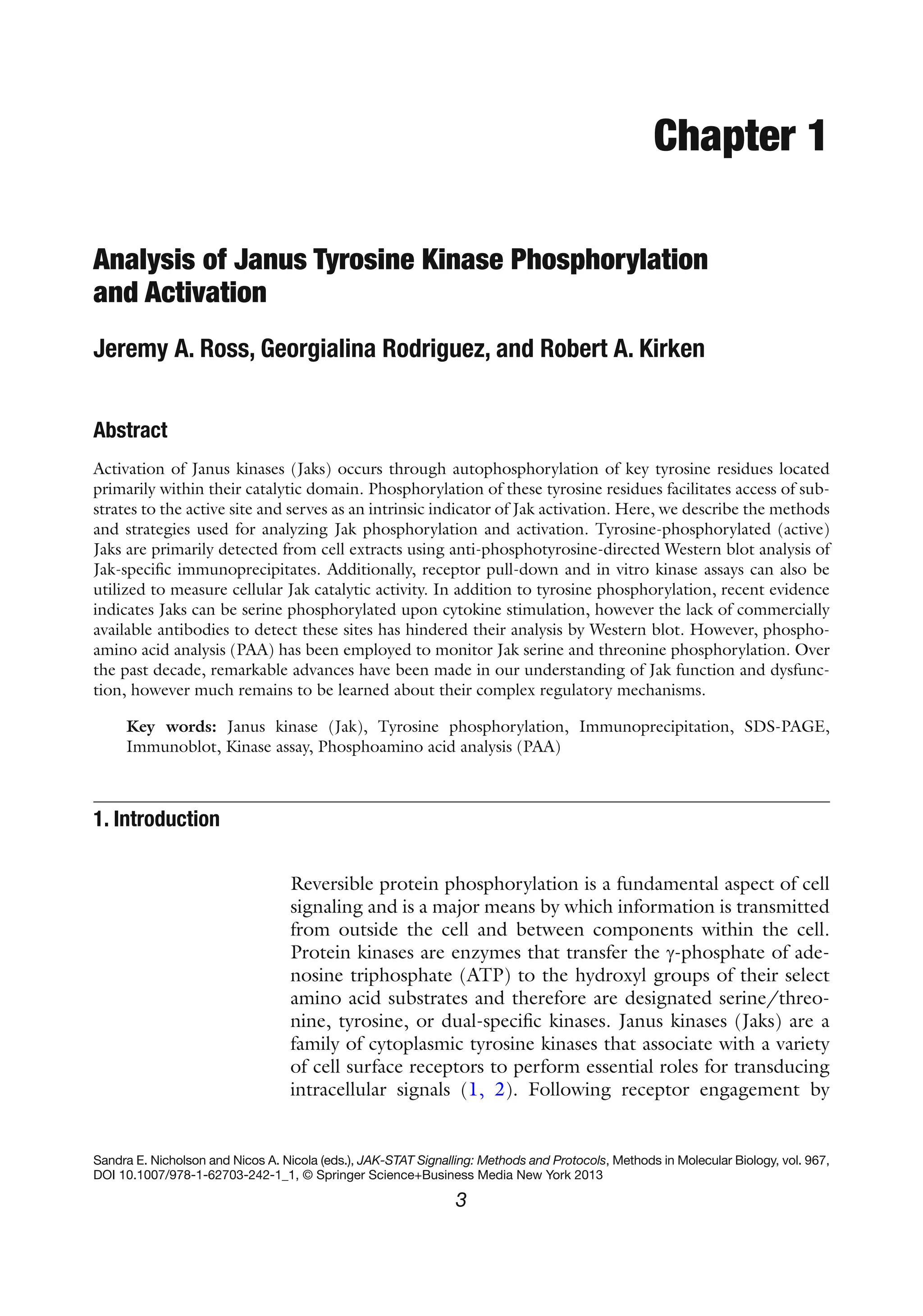 3
Sandra E. Nicholson and Nicos A. Nicola (eds.), JAK-STAT Signalling: Methods and Protocols, Methods in Molecular Biology, vol. 967,
DOI 10.1007/978-1-62703-242-1_1, © Springer Science+Business Media New York 2013
Chapter 1
Analysis of Janus Tyrosine Kinase Phosphorylation
and Activation
Jeremy A. Ross, Georgialina Rodriguez, and Robert A. Kirken
Abstract
Activation of Janus kinases (Jaks) occurs through autophosphorylation of key tyrosine residues located
primarily within their catalytic domain. Phosphorylation of these tyrosine residues facilitates access of sub-
strates to the active site and serves as an intrinsic indicator of Jak activation. Here, we describe the methods
and strategies used for analyzing Jak phosphorylation and activation. Tyrosine-phosphorylated (active)
Jaks are primarily detected from cell extracts using anti-phosphotyrosine-directed Western blot analysis of
Jak-specific immunoprecipitates. Additionally, receptor pull-down and in vitro kinase assays can also be
utilized to measure cellular Jak catalytic activity. In addition to tyrosine phosphorylation, recent evidence
indicates Jaks can be serine phosphorylated upon cytokine stimulation, however the lack of commercially
available antibodies to detect these sites has hindered their analysis by Western blot. However, phospho-
amino acid analysis (PAA) has been employed to monitor Jak serine and threonine phosphorylation. Over
the past decade, remarkable advances have been made in our understanding of Jak function and dysfunc-
tion, however much remains to be learned about their complex regulatory mechanisms.
Key words: Janus kinase (Jak), Tyrosine phosphorylation, Immunoprecipitation, SDS-PAGE,
Immunoblot, Kinase assay, Phosphoamino acid analysis (PAA)
Reversible protein phosphorylation is a fundamental aspect of cell
signaling and is a major means by which information is transmitted
from outside the cell and between components within the cell.
Protein kinases are enzymes that transfer the g-phosphate of ade-
nosine triphosphate (ATP) to the hydroxyl groups of their select
amino acid substrates and therefore are designated serine/threo-
nine, tyrosine, or dual-specific kinases. Janus kinases (Jaks) are a
family of cytoplasmic tyrosine kinases that associate with a variety
of cell surface receptors to perform essential roles for transducing
intracellular signals (1, 2). Following receptor engagement by
1. Introduction
 