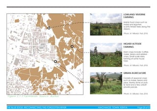 THE BLUE EDGE: RECONNECTING THE FORGOTTEN RIVER MACHAKOS TOWN, KENYA Page 20 of 51
Figure 3.1.3 Farmlands: Source: Author
LOWLAND/ RIVERINE
FARMING
Mainly food crops such as
maize and legumes.
Scanty timber trees along the
stream.
Photo: A. Mboloi, Feb 2016
HIGHER ALTITUDE
FARMING
Main crops include; Coffee,
maize, beans and related
crops. Small scale dairy
farming at some house
hold.
Photo: A. Mboloi, Feb 2016
URBAN AGRICULTURE
Consists of seasonal crops
such as maize, beans and
peas. Mainly done on pub-
lic land and a few unbuilt
private parcels.
Photo: A. Mboloi, Feb 2016
 