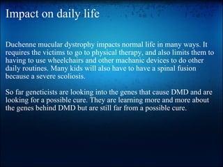 Impact on daily life Duchenne mucular dystrophy impacts normal life in many ways. It requires the victims to go to physical therapy, and also limits them to having to use wheelchairs and other machanic devices to do other daily routines. Many kids will also have to have a spinal fusion because a severe scoliosis.    So far geneticists are looking into the genes that cause DMD and are looking for a possible cure. They are learning more and more about the genes behind DMD but are still far from a possible cure. 