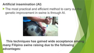 Swine-Production 2300 mangemne6 anmd reprofudmtiox | PPTX