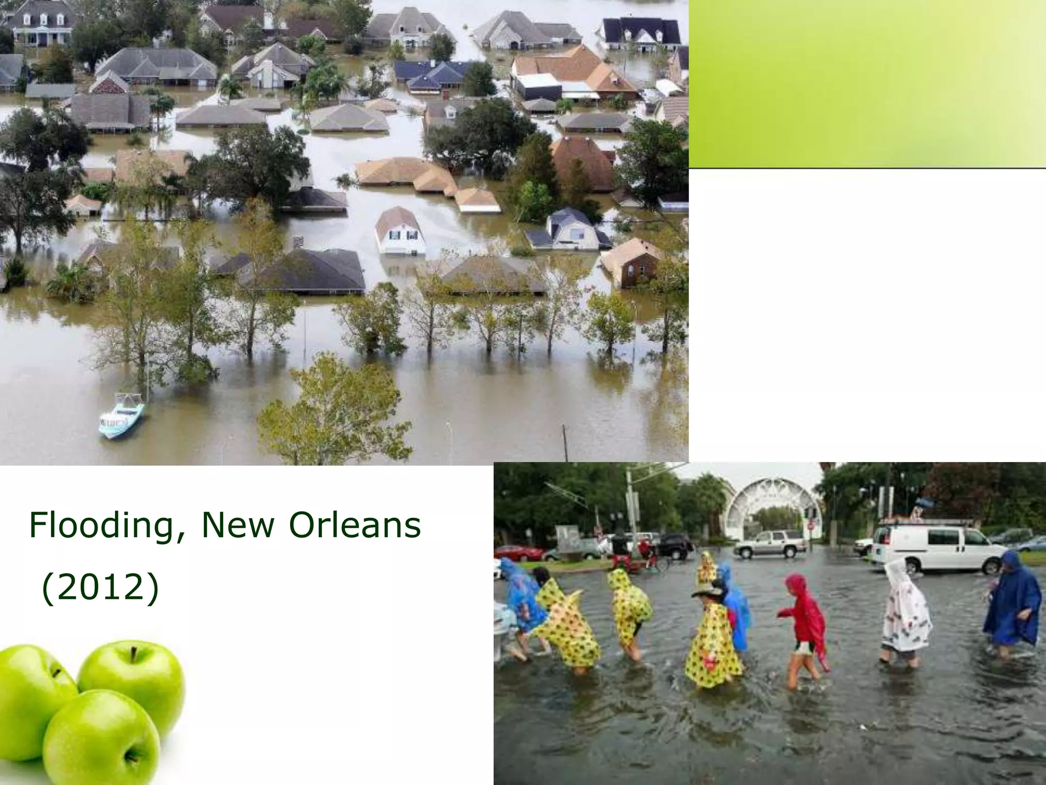 Flooding, New Orleans
(2012)
 