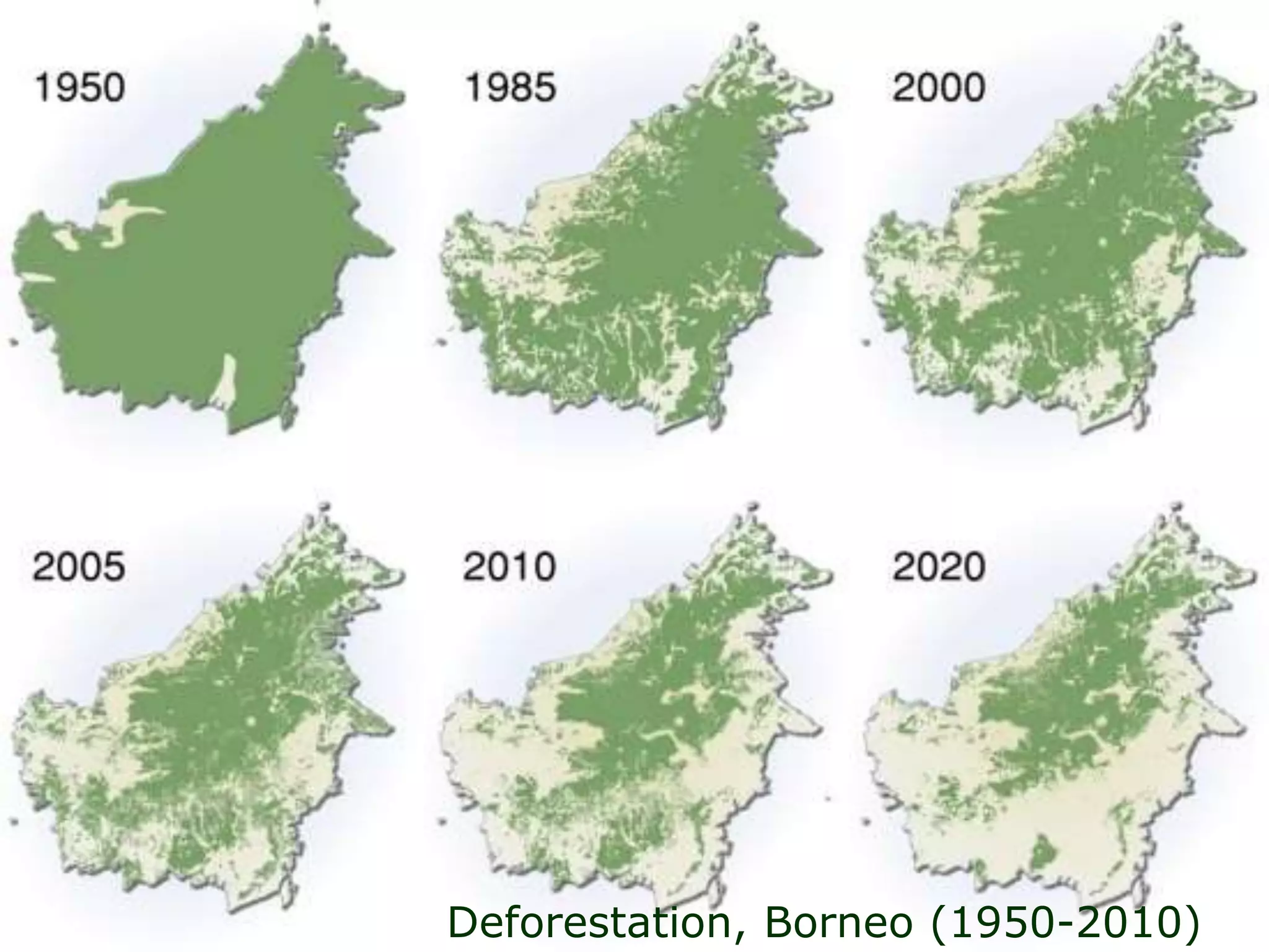 Deforestation, Borneo (1950-2010)
 