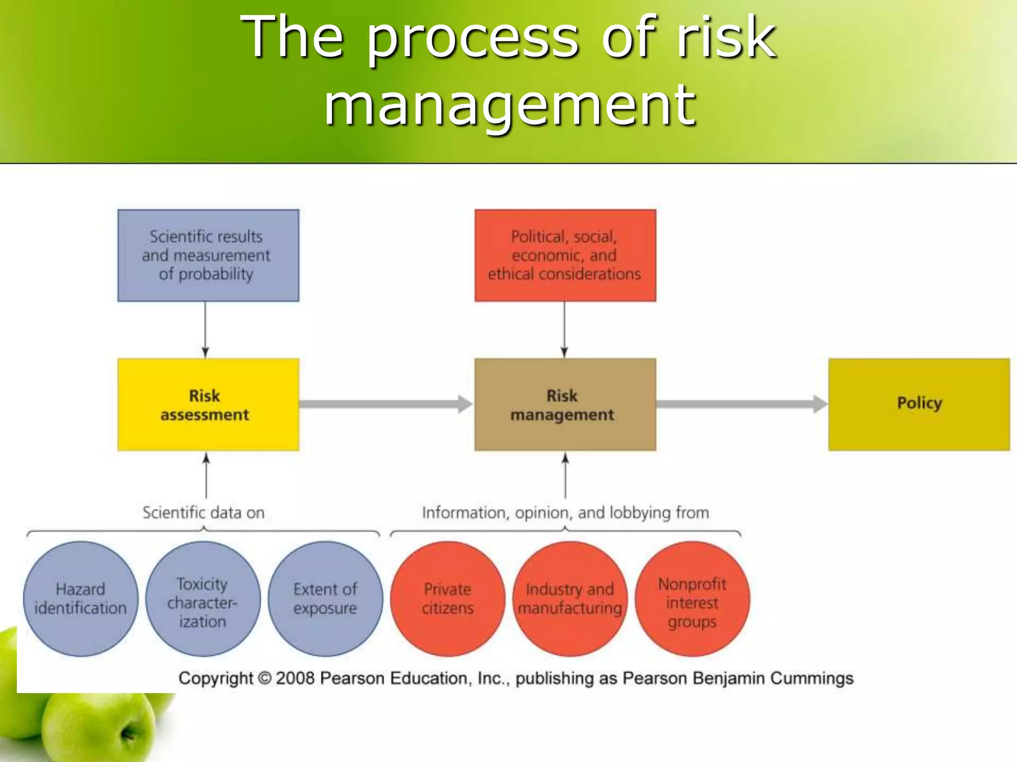 The process of risk
management
 