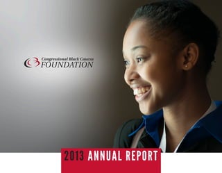 2013 ANNUAL REPORT
 