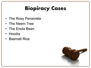 Biopiracy Cases
• The Rosy Periwinkle
• The Neem Tree
• The Enola Bean
• Hoodia
• Basmati Rice
 