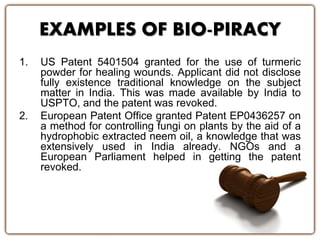 EXAMPLES OF BIO-PIRACY
1. US Patent 5401504 granted for the use of turmeric
powder for healing wounds. Applicant did not disclose
fully existence traditional knowledge on the subject
matter in India. This was made available by India to
USPTO, and the patent was revoked.
2. European Patent Office granted Patent EP0436257 on
a method for controlling fungi on plants by the aid of a
hydrophobic extracted neem oil, a knowledge that was
extensively used in India already. NGOs and a
European Parliament helped in getting the patent
revoked.
 