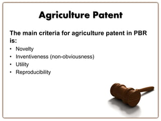 Agriculture Patent
The main criteria for agriculture patent in PBR
is:
• Novelty
• Inventiveness (non-obviousness)
• Utility
• Reproducibility
 