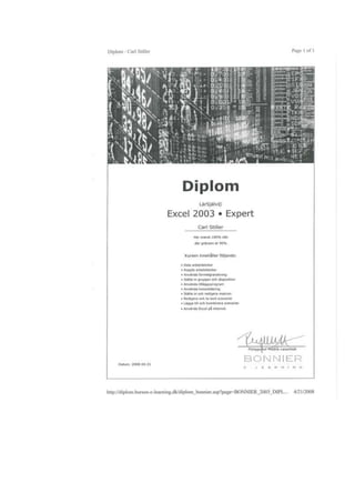 Diplom Excel expert