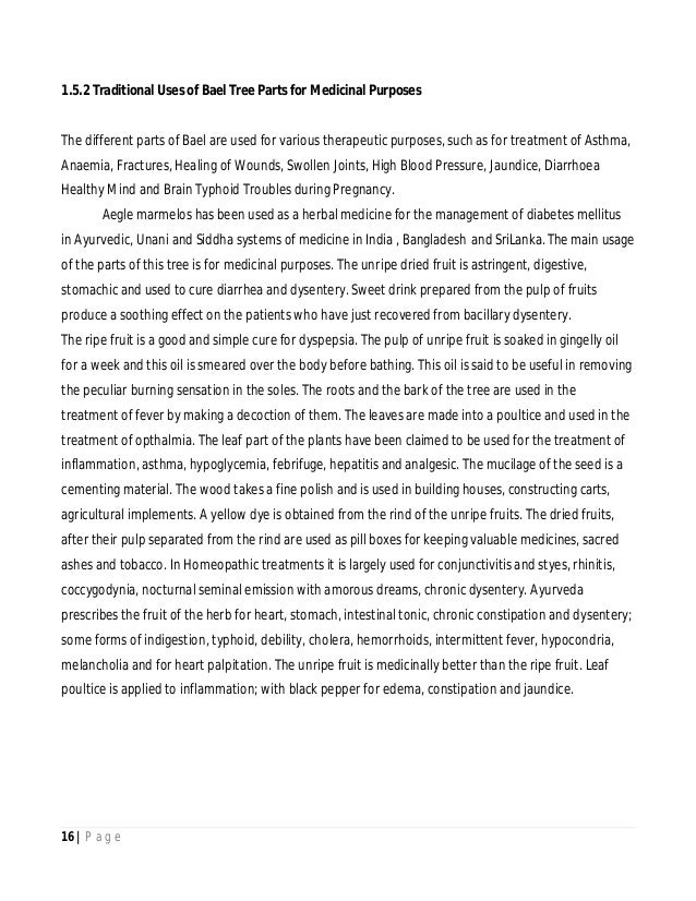 thesis in an essay