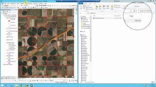 How the MXD Grows Video
 
