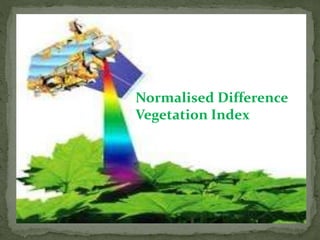 Normalised Difference
Vegetation Index
 