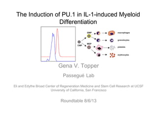 The Induction of PU.1 in IL-1-induced Myeloid
Differentiation
Gena V. Topper
Passegué Lab
Eli and Edythe Broad Center of Regeneration Medicine and Stem Cell Research at UCSF
University of California, San Francisco
Roundtable 8/6/13
 