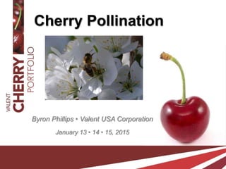 Cherry Pollination
Byron Phillips • Valent USA Corporation
January 13 • 14 • 15, 2015
 