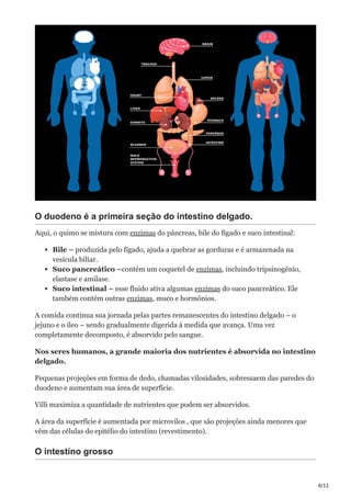 6/11
O duodeno é a primeira seção do intestino delgado.
Aqui, o quimo se mistura com enzimas do pâncreas, bile do fígado e suco intestinal:
Bile – produzida pelo fígado, ajuda a quebrar as gorduras e é armazenada na
vesícula biliar.
Suco pancreático –contém um coquetel de enzimas, incluindo tripsinogênio,
elastase e amilase.
Suco intestinal – esse fluido ativa algumas enzimas do suco pancreático. Ele
também contém outras enzimas, muco e hormônios.
A comida continua sua jornada pelas partes remanescentes do intestino delgado – o
jejuno e o íleo – sendo gradualmente digerida à medida que avança. Uma vez
completamente decomposto, é absorvido pelo sangue.
Nos seres humanos, a grande maioria dos nutrientes é absorvida no intestino
delgado.
Pequenas projeções em forma de dedo, chamadas vilosidades, sobressaem das paredes do
duodeno e aumentam sua área de superfície.
Villi maximiza a quantidade de nutrientes que podem ser absorvidos.
A área da superfície é aumentada por microvilos , que são projeções ainda menores que
vêm das células do epitélio do intestino (revestimento).
O intestino grosso
 