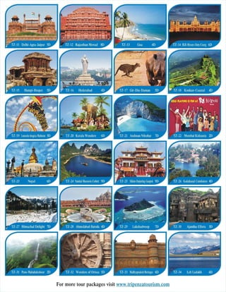 Tiepenza Tourism LLP - e  Brochure