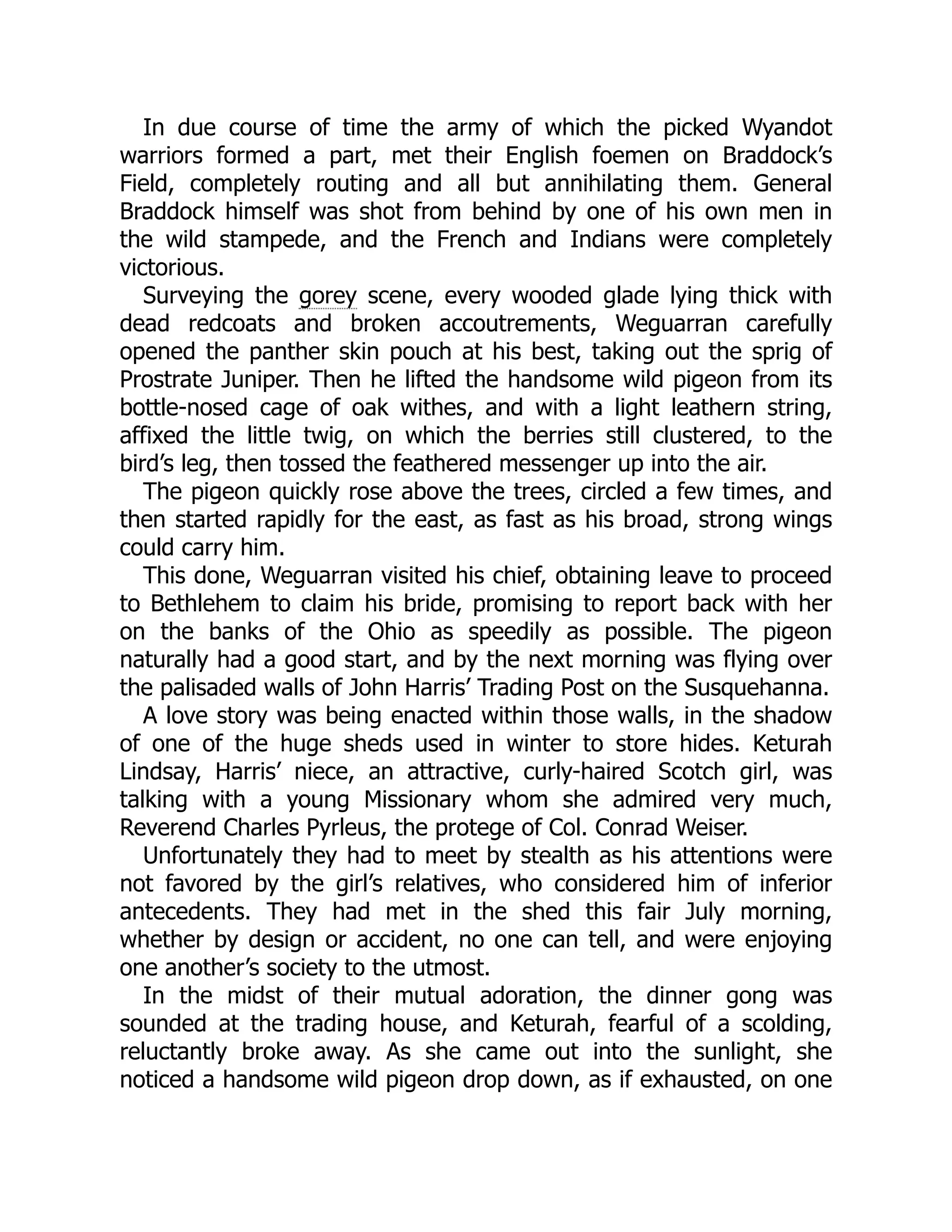 In due course of time the army of which the picked Wyandot warriors formed a part, met their English foemen on Braddock’s Field, completely routing and all but annihilating them. General Braddock himself was shot from behind by one of his own men in the wild stampede, and the French and Indians were completely victorious. Surveying the gorey scene, every wooded glade lying thick with dead redcoats and broken accoutrements, Weguarran carefully opened the panther skin pouch at his best, taking out the sprig of Prostrate Juniper. Then he lifted the handsome wild pigeon from its bottle-nosed cage of oak withes, and with a light leathern string, affixed the little twig, on which the berries still clustered, to the bird’s leg, then tossed the feathered messenger up into the air. The pigeon quickly rose above the trees, circled a few times, and then started rapidly for the east, as fast as his broad, strong wings could carry him. This done, Weguarran visited his chief, obtaining leave to proceed to Bethlehem to claim his bride, promising to report back with her on the banks of the Ohio as speedily as possible. The pigeon naturally had a good start, and by the next morning was flying over the palisaded walls of John Harris’ Trading Post on the Susquehanna. A love story was being enacted within those walls, in the shadow of one of the huge sheds used in winter to store hides. Keturah Lindsay, Harris’ niece, an attractive, curly-haired Scotch girl, was talking with a young Missionary whom she admired very much, Reverend Charles Pyrleus, the protege of Col. Conrad Weiser. Unfortunately they had to meet by stealth as his attentions were not favored by the girl’s relatives, who considered him of inferior antecedents. They had met in the shed this fair July morning, whether by design or accident, no one can tell, and were enjoying one another’s society to the utmost. In the midst of their mutual adoration, the dinner gong was sounded at the trading house, and Keturah, fearful of a scolding, reluctantly broke away. As she came out into the sunlight, she noticed a handsome wild pigeon drop down, as if exhausted, on one 