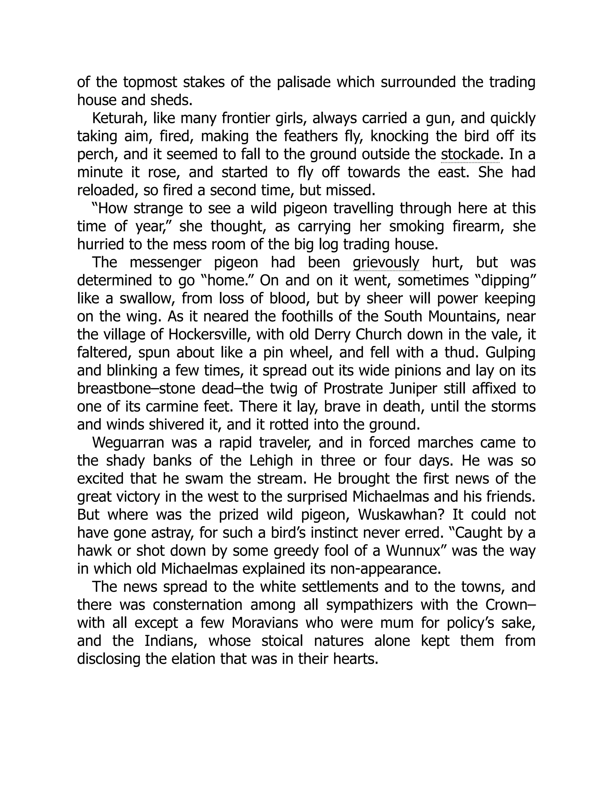 of the topmost stakes of the palisade which surrounded the trading house and sheds. Keturah, like many frontier girls, always carried a gun, and quickly taking aim, fired, making the feathers fly, knocking the bird off its perch, and it seemed to fall to the ground outside the stockade. In a minute it rose, and started to fly off towards the east. She had reloaded, so fired a second time, but missed. “How strange to see a wild pigeon travelling through here at this time of year,” she thought, as carrying her smoking firearm, she hurried to the mess room of the big log trading house. The messenger pigeon had been grievously hurt, but was determined to go “home.” On and on it went, sometimes “dipping” like a swallow, from loss of blood, but by sheer will power keeping on the wing. As it neared the foothills of the South Mountains, near the village of Hockersville, with old Derry Church down in the vale, it faltered, spun about like a pin wheel, and fell with a thud. Gulping and blinking a few times, it spread out its wide pinions and lay on its breastbone–stone dead–the twig of Prostrate Juniper still affixed to one of its carmine feet. There it lay, brave in death, until the storms and winds shivered it, and it rotted into the ground. Weguarran was a rapid traveler, and in forced marches came to the shady banks of the Lehigh in three or four days. He was so excited that he swam the stream. He brought the first news of the great victory in the west to the surprised Michaelmas and his friends. But where was the prized wild pigeon, Wuskawhan? It could not have gone astray, for such a bird’s instinct never erred. “Caught by a hawk or shot down by some greedy fool of a Wunnux” was the way in which old Michaelmas explained its non-appearance. The news spread to the white settlements and to the towns, and there was consternation among all sympathizers with the Crown– with all except a few Moravians who were mum for policy’s sake, and the Indians, whose stoical natures alone kept them from disclosing the elation that was in their hearts. 