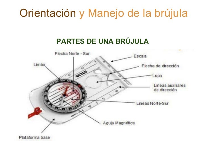 Orientación Brújula
